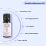 Lavender Oil | French