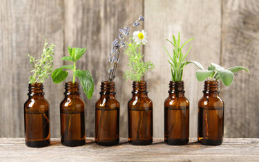 Essential Oil Facts and Myths