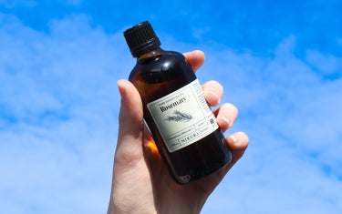 How Are Essential Oils Made? The Journey of Essential Oils